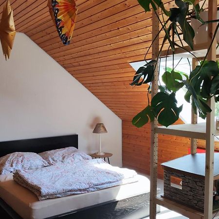 Big Cozy Entire Family Appartment هانوفر المظهر الخارجي الصورة