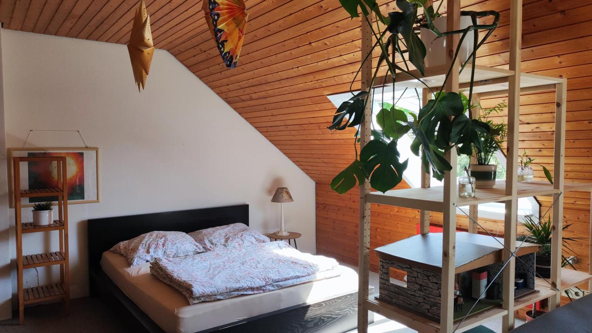 Big Cozy Entire Family Appartment هانوفر المظهر الخارجي الصورة